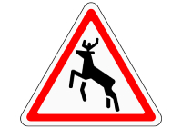 1.27 ДИКИЕ ЖИВОТНЫЕ